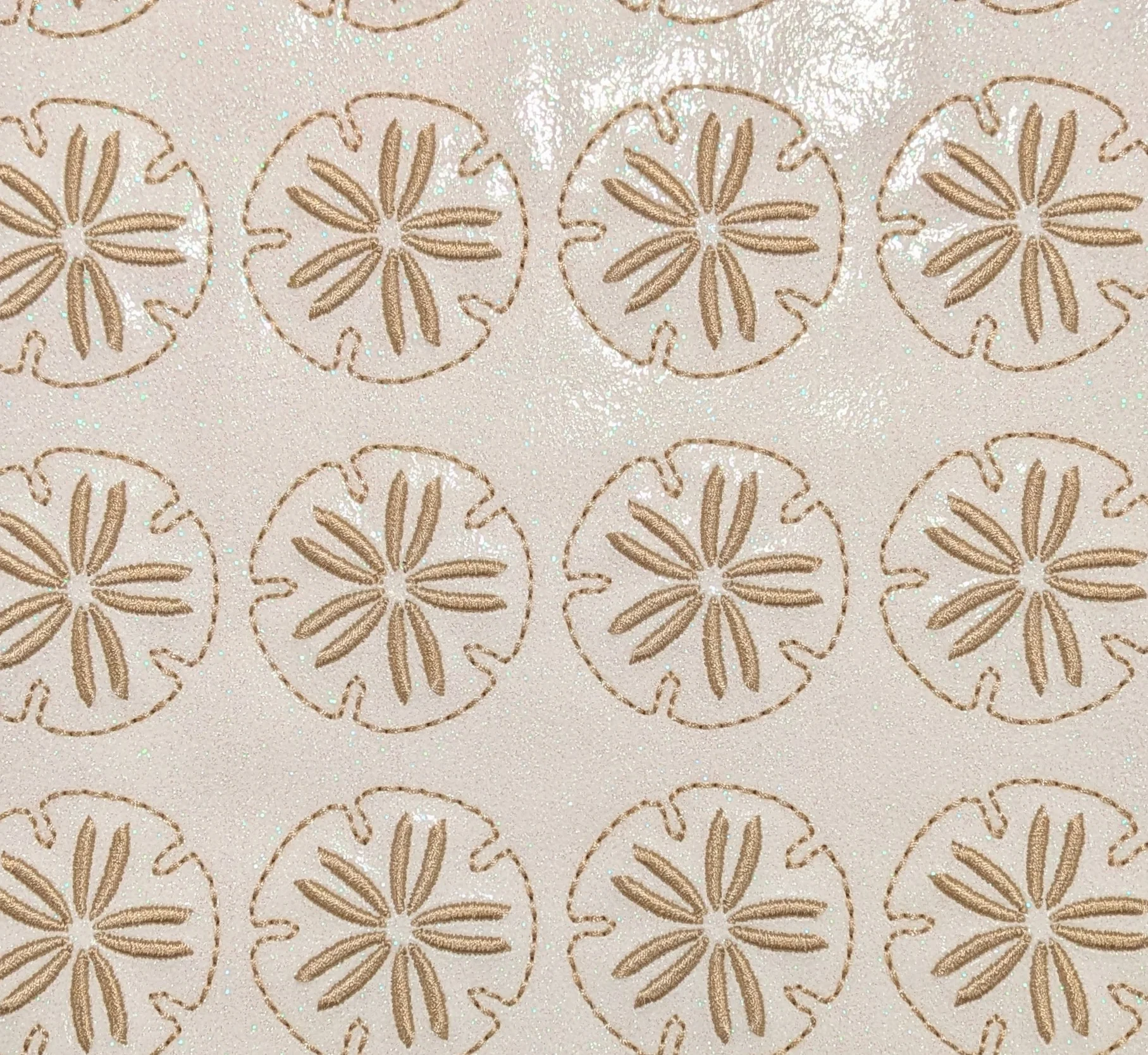 Sand Dollar